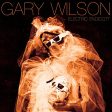 WILSON,GARY - ELECTRIC ENDICOTT (CD) For Discount