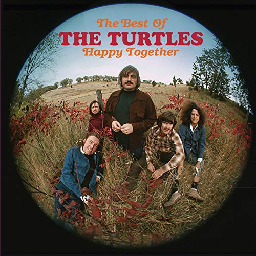 TURTLES - HAPPY TOGETHER: THE BEST OF THE TURTLES (CD) For Cheap