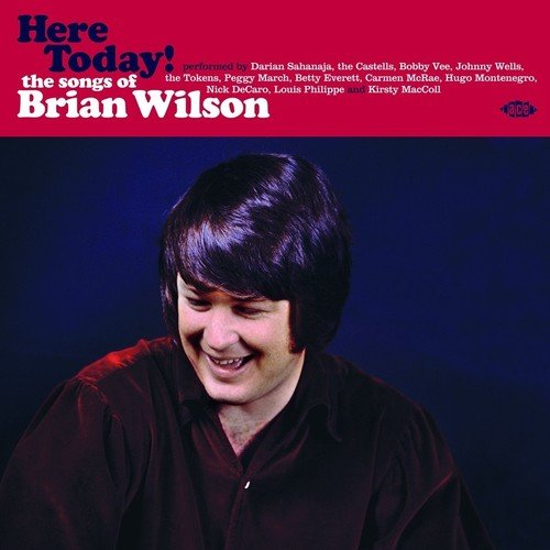 VARIOUS ARTISTS - HERE TODAY: SONGS OF BRIAN WILSON (VINYL) Fashion