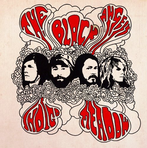 BLACK ANGELS - INDIGO MEADOW (VINYL) Online now