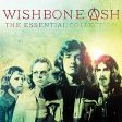 WISHBONE ASH - THE ESSENTIAL COLLECTION - WISHBONE ASH (CD) Discount