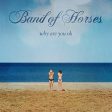 BAND OF HORSES - WHY ARE YOU OK (VINYL) For Discount