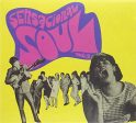 V A - SENSACIONAL SOUL VOL. 2 (2CD) (CD) Online Hot Sale