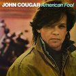 MELLENCAMP, JOHN - AMERICAN FOOL (VINYL) Cheap