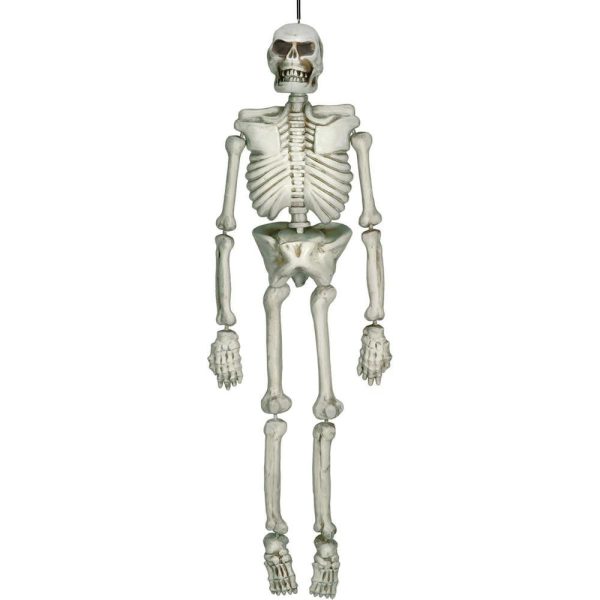 Hanging Skeleton 5ft For Sale