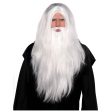 Adult Sorcerer Wig And Beard Set For Sale